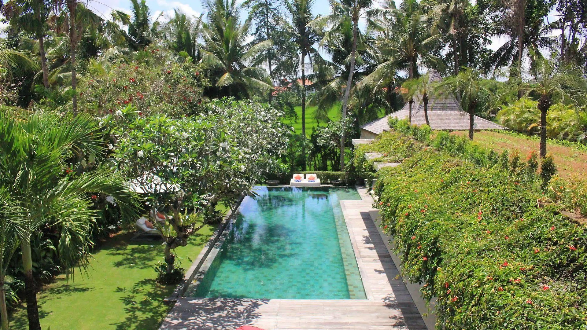 Villa Sally Canggu  0*, Canggu (Bali)